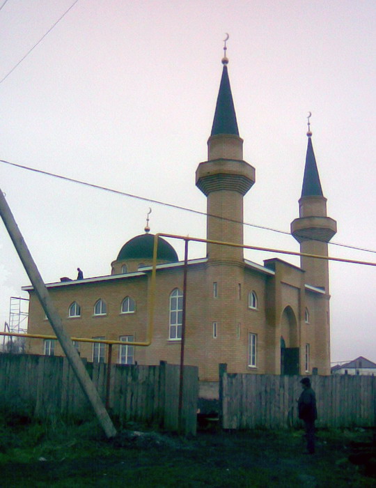 Погода в рыбушкино нижегородская область. Мечеть большое Рыбушкино. Нижегородская область Сергачский район село анда сайт. Мечеть анда Сергачский район. Рыбушкино Нижегородская.